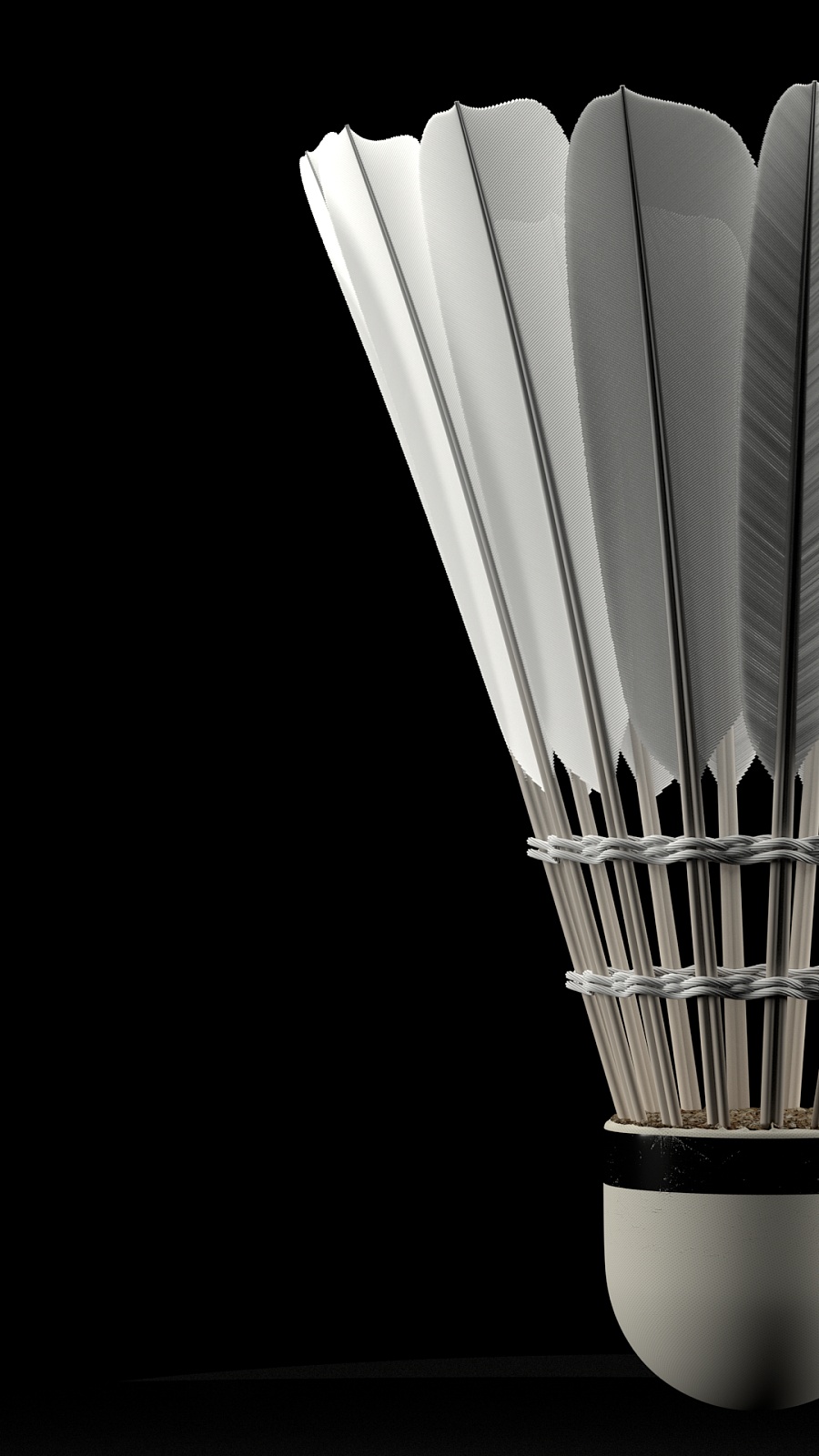 我的联赛 我的联赛